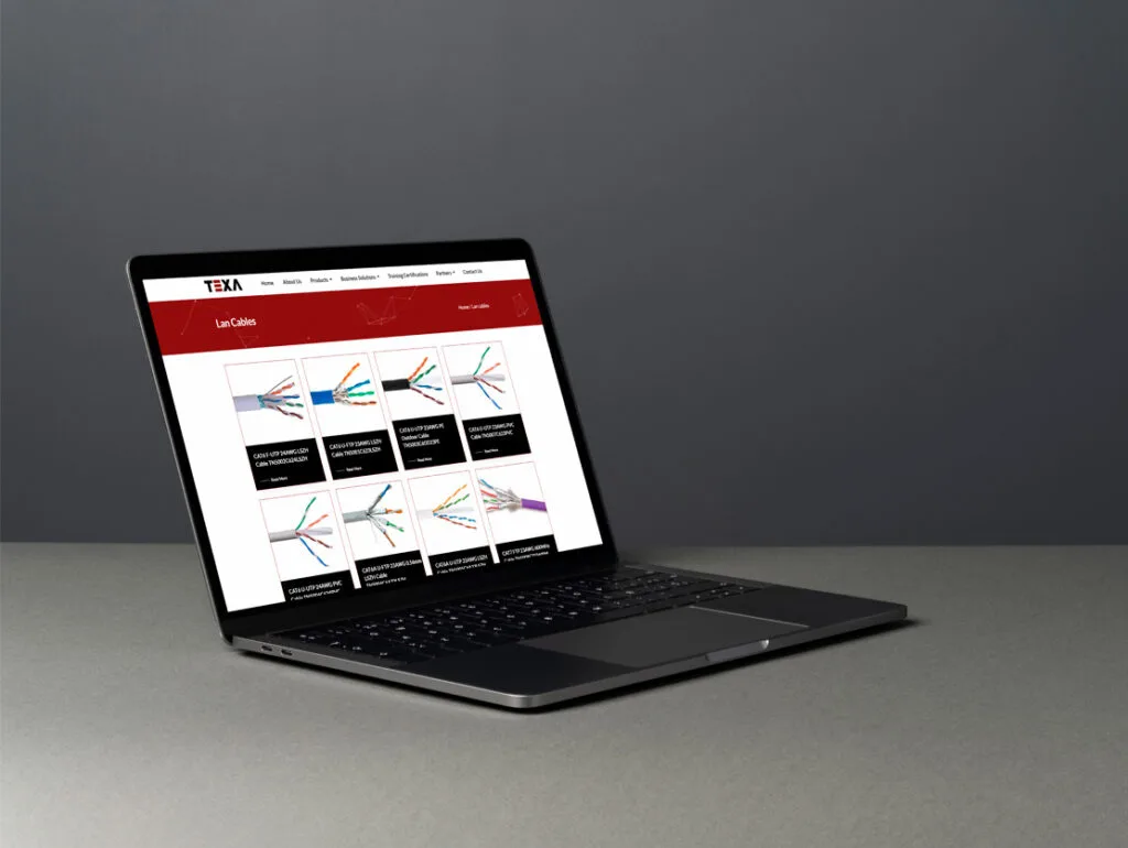 web design and web development
